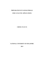 Preparation of nanomaterials for catalytic applications 