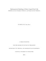 Mathematical modeling of direct liquid fuel cells   multidimensional analytical solutions and experimental validation 