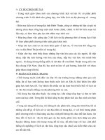 SKKN khái quát lịch sử văn hoá bình thuận 