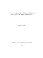 On using and improving gradient domain processing for image enhancement 