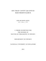 Ion trap cavity quantum electrodynamics 