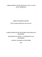 Carbon dioxide capture from flue gas by vacuum swing adsorption 