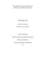 New approaches to automated annotation of pathology level findings in medical images 