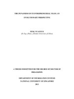 The dynamism of IT entrepreneurial team an evolutionary perspective 