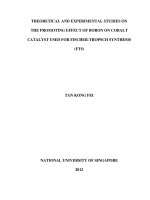 Theoretical and experimental studies on the promoting effect of boron on cobalt catalyst used for fischer tropsch synthesis 