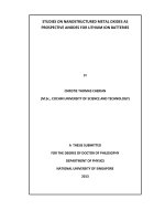 Studies on nanostructured metal oxides as prospective anodes for lithium ion batteries 
