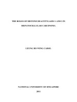 The roles of histone deacetylases 1 and 2 in hepatocellular carcinoma 