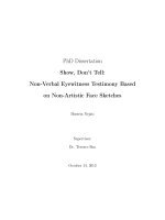 Show, dont tell non verbal eyewitness testimony based on non artistic face sketches 