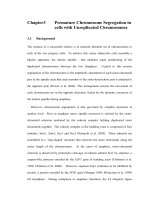 A study on premature segregation of unreplicated chromosomes 3 