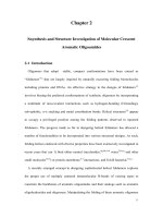 Synthesis and structure investigation of stabilized aromatic oligoamides and their interaction with g quadruplex structures 2 