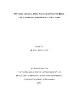 Synthesis of metal oxide nanostructures and their applications as lithium ion battery anodes 