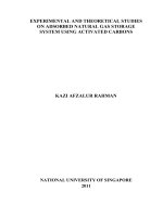 Experimental and theoretical studies on adsorbed natural gas storage system using activated carbons 