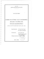 Nghiên cứu về thực vật và thành phần hoá học cây hồng sâm (dracaena angustifolia roxb )
