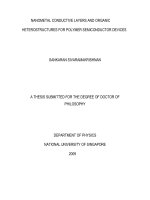 Nanometal conductive layers and organic heterostructures for polymer semiconductor devices 