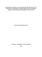 Developing critical capacities for the efficient use of public investments in infrastructure to support trade and economic development in vietnam 