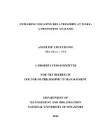 Exploring negative relationships at work  a prototype analysis 