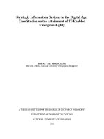 Strategic information systems in the digital age  case studies on the attainment of IT enabled enterprise agility 