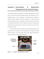 Experimental and theoretical studies on adsorbed natural gas storage system using activated carbons 2 