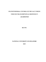 SPATIOTEMPORAL CONTROL OF THE SALT STRESS INDUCED TRANSCRIPTIONAL RESPONSE IN ARABIDOPSIS 