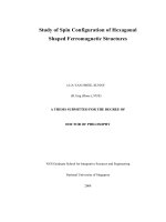 Study of spin configuration of hexagonal shaped ferromagnetic structures 