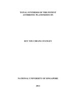 Total synthesis of the potent antibiotic platensimycin 