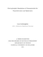 First principles simulations of nanomaterials for nanoelectronics and spintronics 