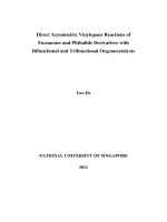 Direct asymmetric vinylogous reactions of furanones and phthalide derivatives with bifunctional and trifunctional organocatalysts 