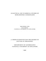 analytical and numerical studies of bose   einstein condensates 
