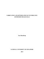 Fabrication and optimization of flexible dye sensitized solar cells 