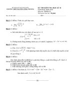 Đề & đáp án thi HK2 Toán 11 (tham khảo)