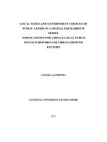 LOCAL TAXES AND GOVERNMENT CHOICE OF PUBLIC GOODS IN a SPATIAL EQUILIBRIUM MODEL   IMPLICATIONS FOR CHINAS LOCAL PUBLIC FINANCE REFORM AND URBAN GROWTH PATTERN 