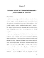 Synthesis and structure investigation of stabilized aromatic oligoamides and their interaction with g quadruplex structures 7 