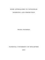 Some approaches to nonlinear modelling and prediction 