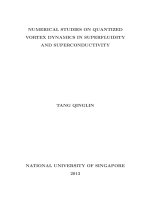 Numerical studies on quantized vortex dynamics in superfludity and superconductivity 