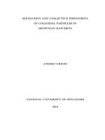 Separation and collective phenomena of colloidal particles in brownian ratchets 