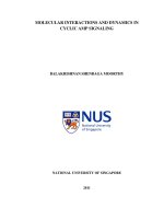 olecular interactions and dynamics in cyclic AMP signalling 