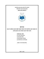ĐỌC VÀ BÌNH LUẬN HIỆP ĐỊNH TRIPS VỚI NHỮNG QUY ĐỊNH CÓ LIÊN QUAN CỦA PHÁP LUẬT VIỆT NAM