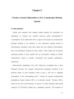 Synthesis and structure investigation of stabilized aromatic oligoamides and their interaction with g quadruplex structures 5 