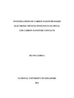 Investigations of carbon nanotube based electronic devices with focus on metal and carbon nanotube contacts 