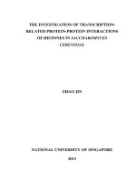 The investigation of transcription related protein protein interactions of histones in saccharomyces cerevisiae 