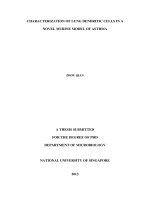 Characterization of lung dendritic cells in a novel murine model of asthma 
