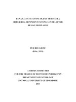 RUNX3 acts as an ocogene through a hedgehog dependent pathway in selected human neoplasms 