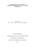 Heterogeneous catalysis in protodecarboxylation and c c bond formation 1 