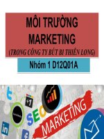 Bài thuyết trình môi trường marketing (trong công ty bút bi thiên long)