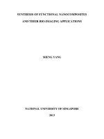 Synthesis of functional nanocomposites and their bio imaging applications 