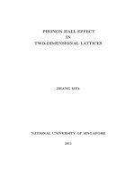 honon hall effect in two dimensional lattices 