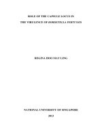 Role of the capsule locus in the virulence of bordetella pertussis 