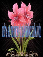 TIET 4  DO THE TICH VAT RAN KHONG THAM NUOC