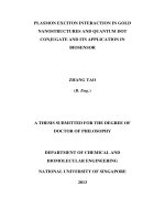 Plasmon exciton interaction in gold nanostructure and quantum dot conjugate and its applications in biosensing 