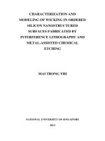 Characterisation and modelling of wicking on ordered silicon nanostructured surfaces fabricated by interference lithography and metal assisted chemical etching 